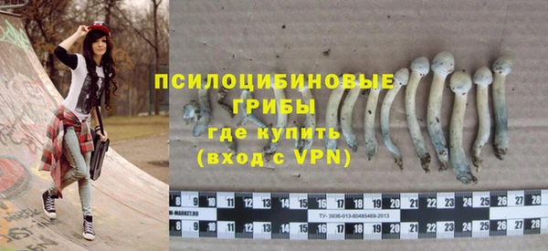МДМА Козловка