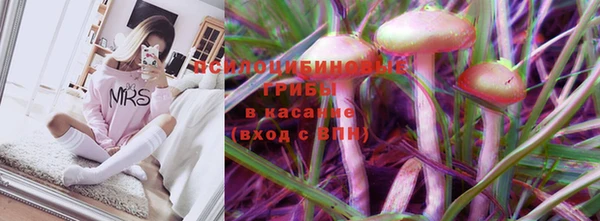 МДМА Козловка