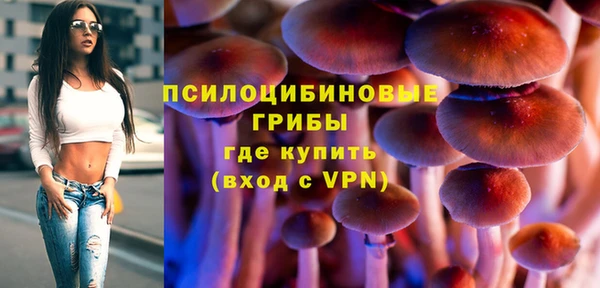 не бодяженный Козельск
