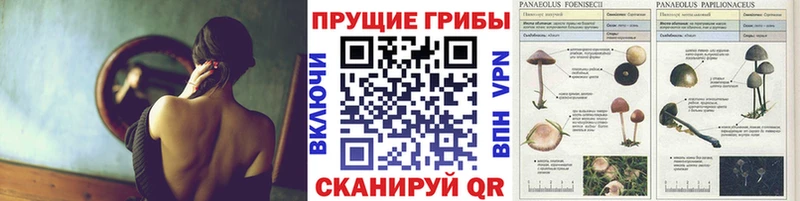 Купить  Усинск  Псилоцибиновые грибы Magic Shrooms 